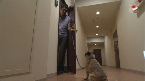 He Who Can't Marry Season 1 Episode 8 - So What If I Hate Dogs?!