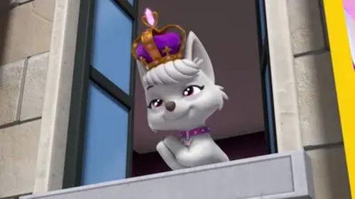 PAW Patrol Season 10 Episode 18 - Mighty Pups Stop the Mighty Queen