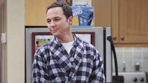 The Big Bang Theory Season 9 Episode 13 - The Empathy Optimization
