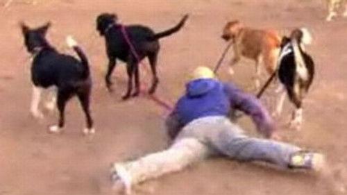 1000 Ways to Die Season 2 Episode 10 - You're dead! LOL!