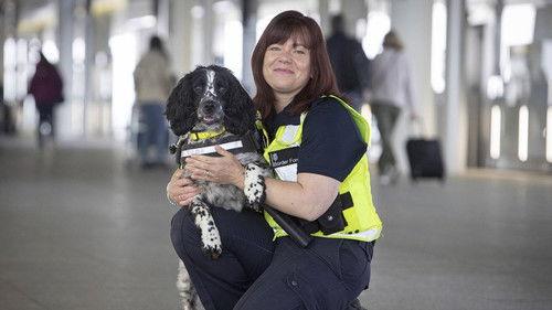 Britain's Busiest Airport: Heathrow Season 5 Episode 5 - Episode 5