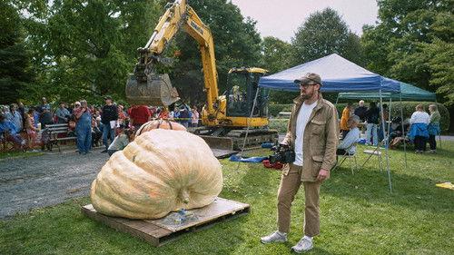 How To with John Wilson Season 3 Episode 3 - How To Work Out