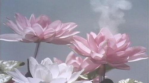 undefined Season 1 Episode 33 - The Milennium Lotus Blossomed on Garbo