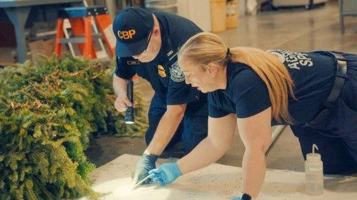 Contraband: Seized at the Border Season 6 Episode 6 - Joint Failure