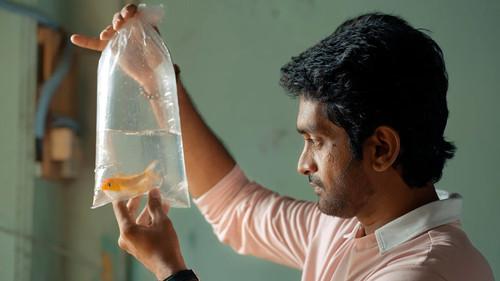 Office Season 1 Episode 5 - Village Trouble