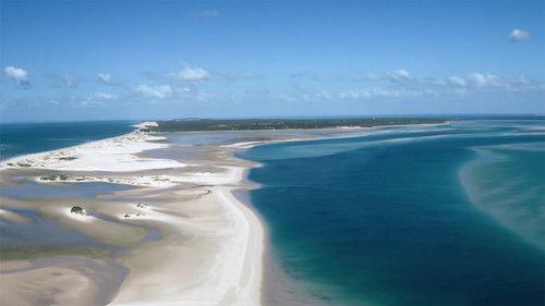 Africa's Underwater Wonders Season 1 Episode 5 - Bazaruto Shallows