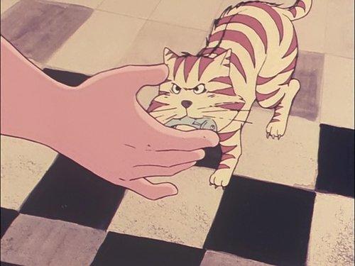 Space Pirate Captain Harlock Season 1 Episode 25 - Doctor Zero and Mi