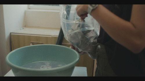 Wyfie Season 1 Episode 13 - Die Glips