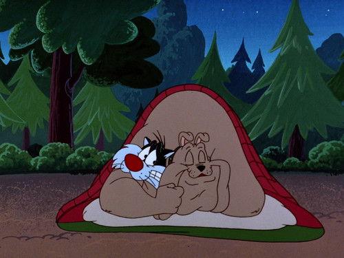 The Sylvester & Tweety Mysteries Season 2 Episode 1 - Spaced Out