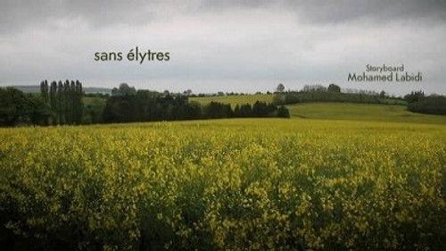 Minuscule: The Private Life of Insects Season 2 Episode 2 - The Wing Case