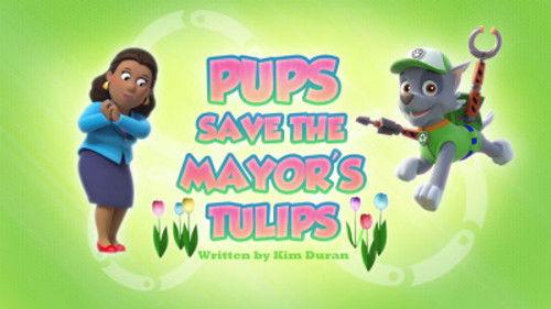 PAW Patrol Season 3 Episode 35 - Pups Save the Mayor's Tulips