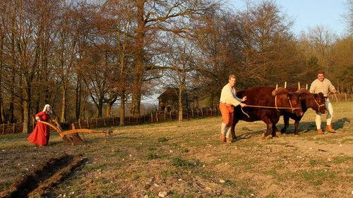 Tudor Monastery Farm Season 1 Episode 1 - Episode 1