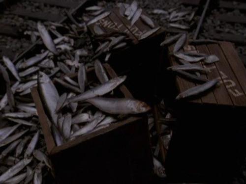 Thomas & Friends Season 4 Episode 24 - Fish