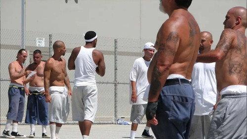 Lockdown Season 1 Episode 4 - Gang Wars