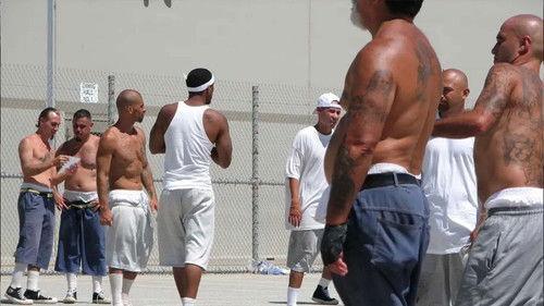 Lockdown Season 1 Episode 4 - Gang Wars