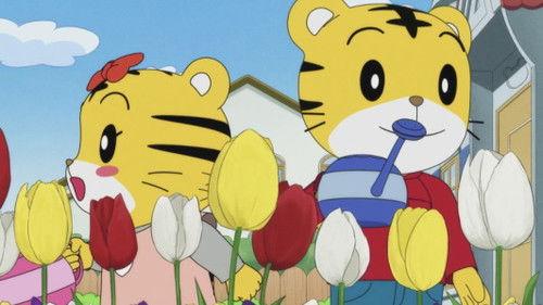 Shimajiro: A Wonderful Adventure Season 7 Episode 1 - Episode 1