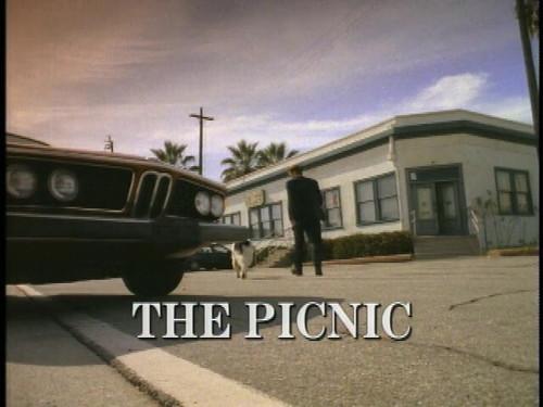 Red Shoe Diaries Season 5 Episode 3 - Picnic