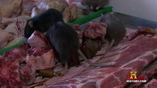 Life After People: The Series Season 2 Episode 4 - Last Supper