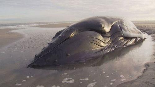 Argos TV - Medialogic Season 2 Episode 2 - Episode 2