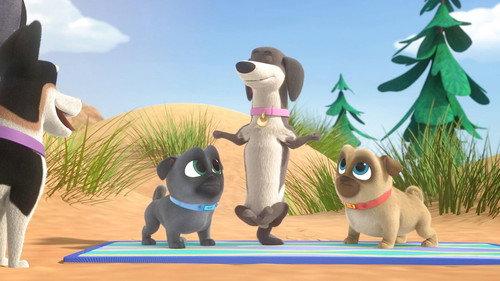 Puppy Dog Pals Season 3 Episode 9 - Chin Up, Pups