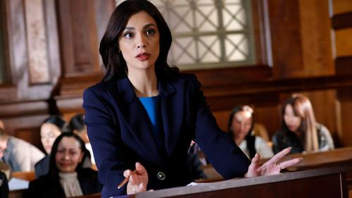 Law & Order Season 24 Episode 10 - Greater Good