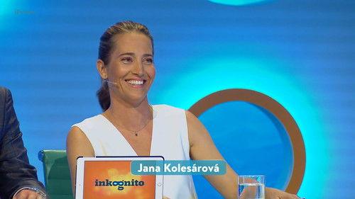 Inkognito Season 1 Episode 7 - Episode 7