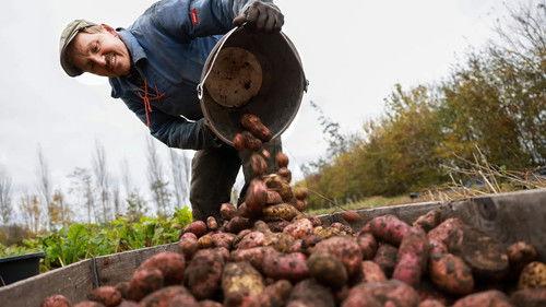 Frank & Kastaniegaarden Season 31 Episode 1 - Episode 1