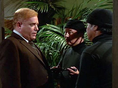 The Fall Guy Season 1 Episode 10 - License to Kill (2)