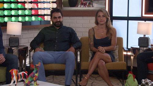 Big Brother Season 22 Episode 13 - Episode 13