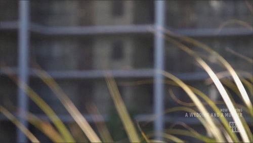A Wedding and a Murder Season 1 Episode 6 - A Myrtle Beach Murder