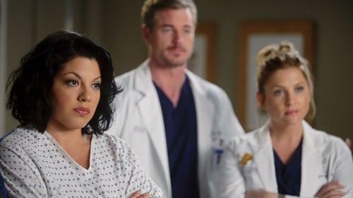 Grey's Anatomy Season 7 Episode 13 - Don't Deceive Me (Please Don't Go)