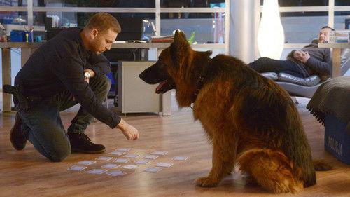 Komisarz Alex Season 9 Episode 2 - Episode 2