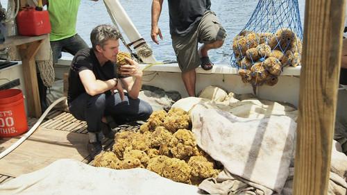 Going Deep with David Rees Season 2 Episode 8 - How to Do the Dishes