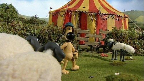 Shaun the Sheep Season 1 Episode 16 - Big Top Timmy