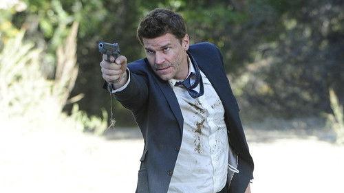 Bones Season 6 Episode 11 - The Bullet in the Brain