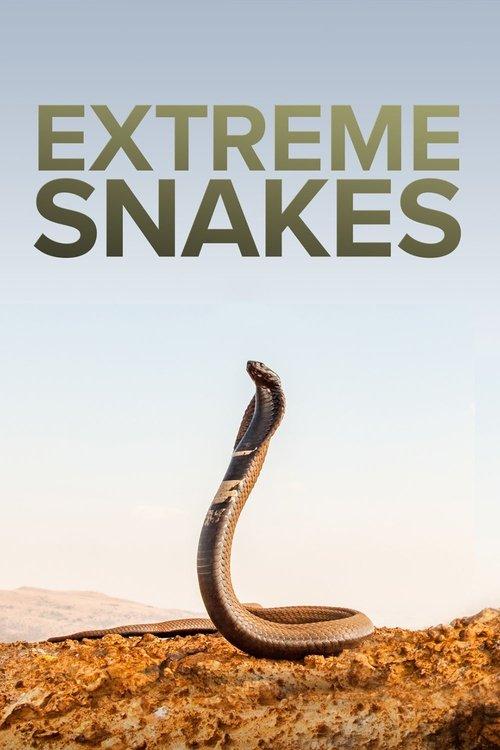 Extreme Snakes poster