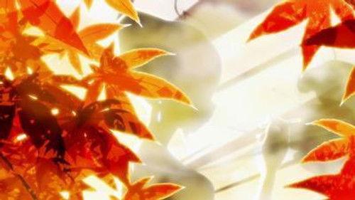 The Eccentric Family Season 1 Episode 6 - Taking in Fall Colors