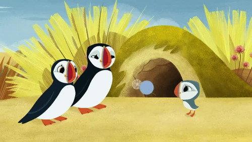Puffin Rock Season 3 Episode 21 - Under the Weather