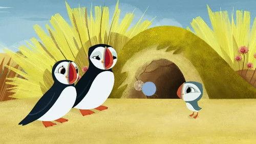 Puffin Rock Season 3 Episode 21 - Under the Weather