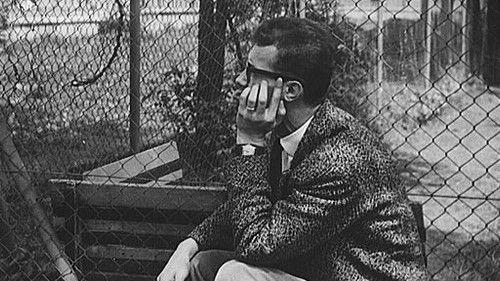 Golden Sixties Season 1 Episode 18 - Eduard Grečner