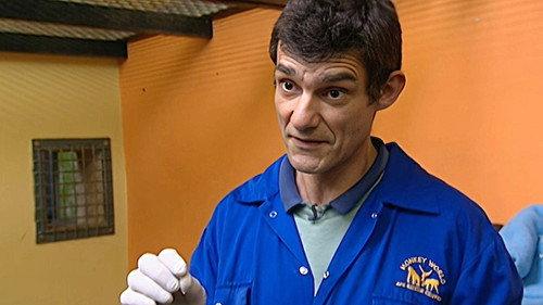 Monkey Business Season 8 Episode 10 - Episode 10