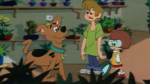 A Pup Named Scooby-Doo Season 1 Episode 13 - Lights...Camera...Monster