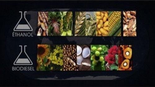 Mapping the World Season 20 Episode 16 - Episode 16