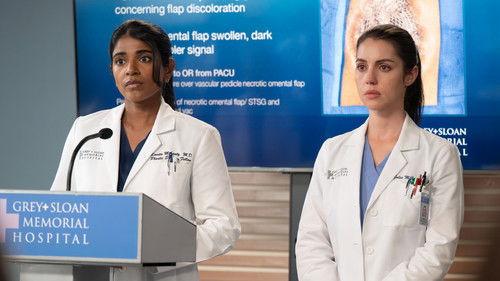 Grey's Anatomy Season 22 Episode 13 - Love the Way You Lie