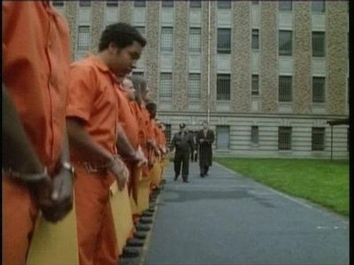 The Sentinel Season 3 Episode 12 - Prisoner X