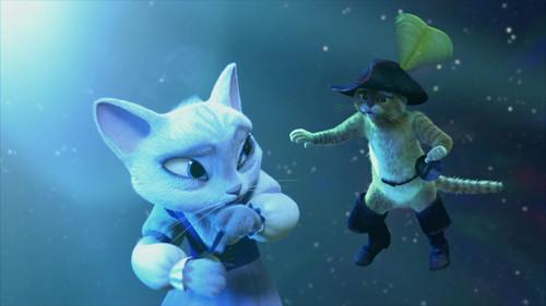 undefined Season 1 Episode 13 - Star