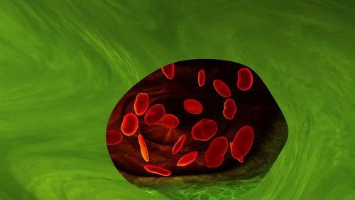 Wacky Races Season 1 Episode 11 - Fantastic Race