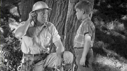 The Andy Griffith Show Season 3 Episode 1 - Mr. McBeevee