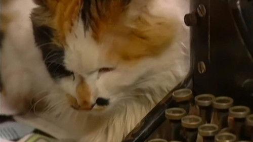 Romance in the Rain Season 1 Episode 7 - Episode 7