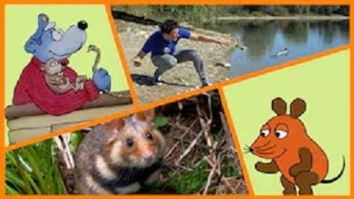 Die Sendung mit der Maus Season 54 Episode 17 - Episode 17